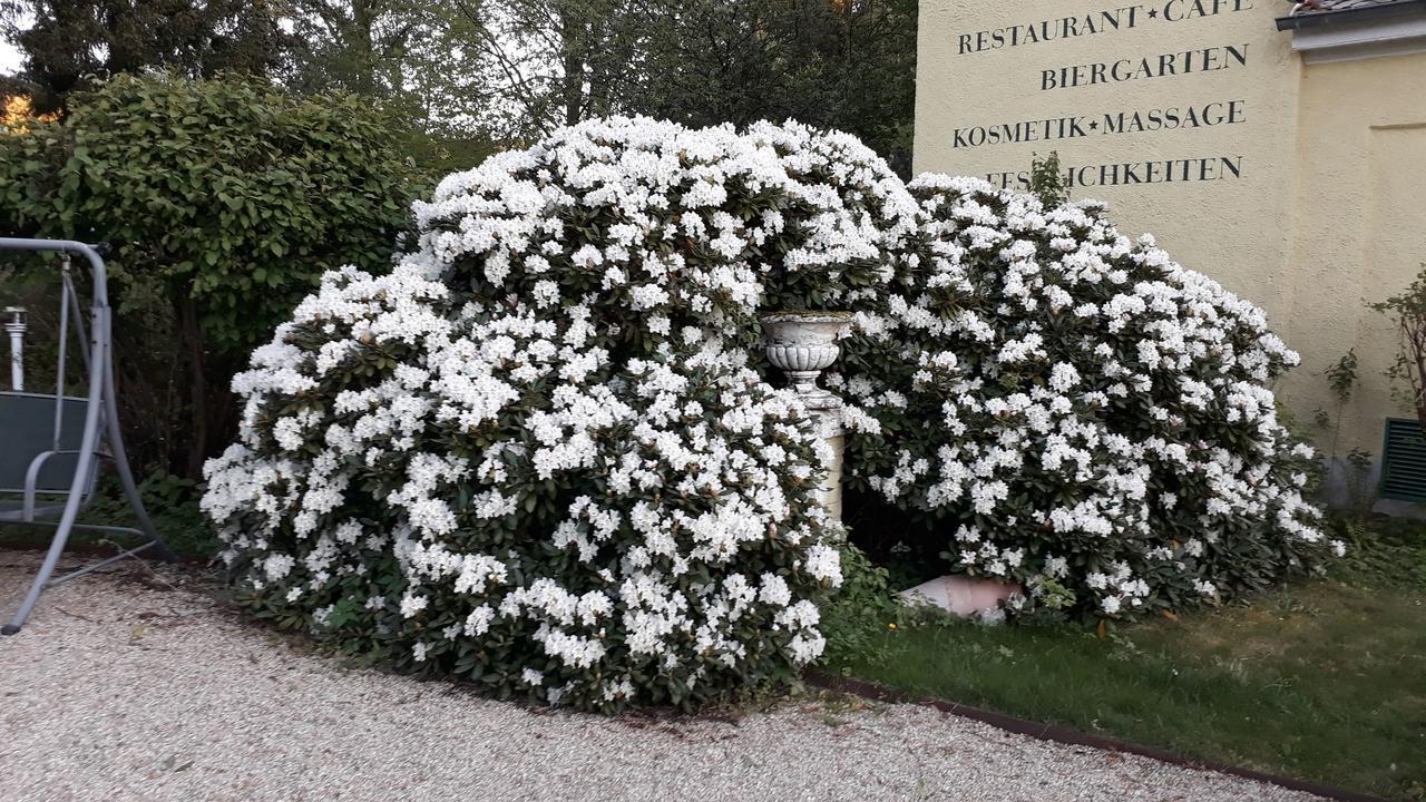 Hotel Quellenpark Bad Elster Esterno foto